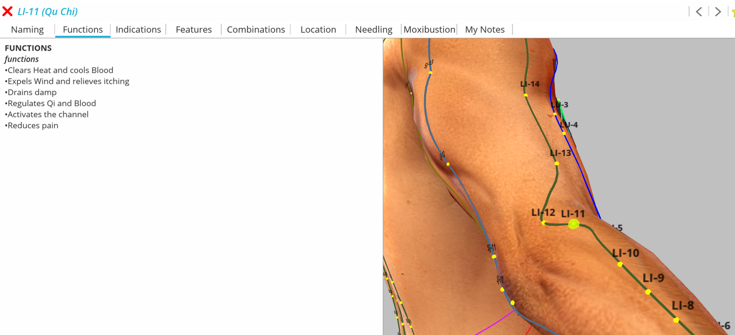 Diagram of an arm with acupuncture points LI-11 abeled on a computer screen