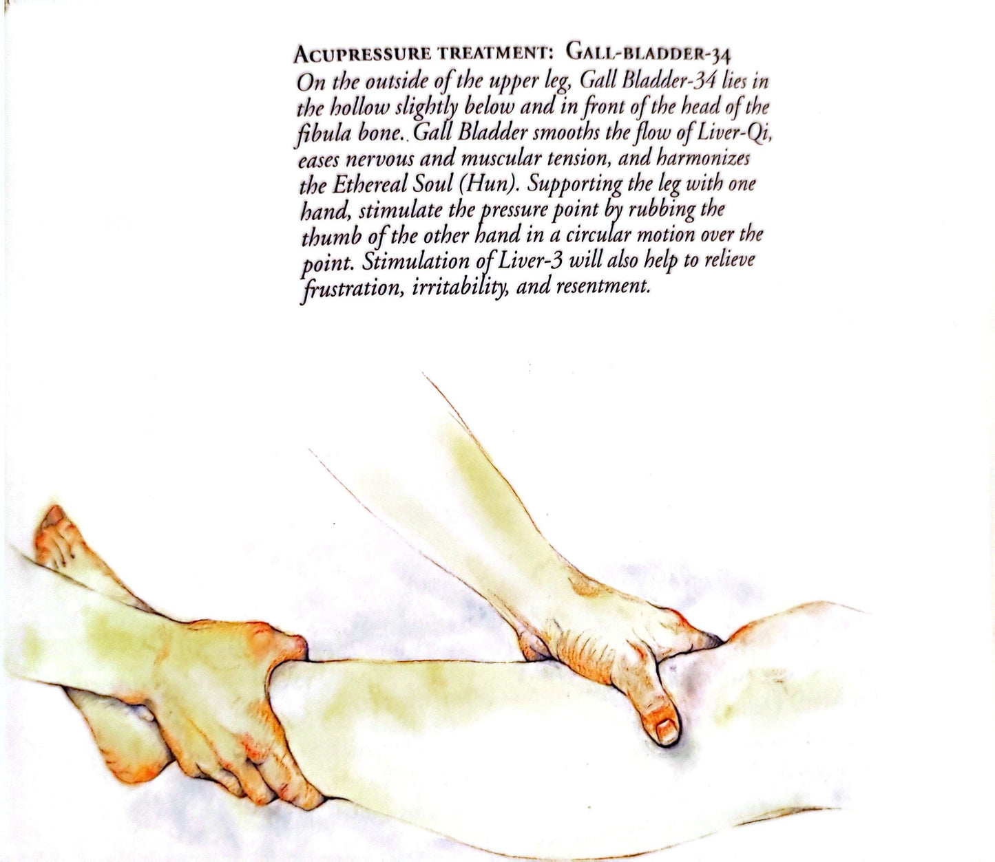Acupressure treatment - Gall Bladder 34 - GB34. Helps to relieve frustration, irritability and resentmen.