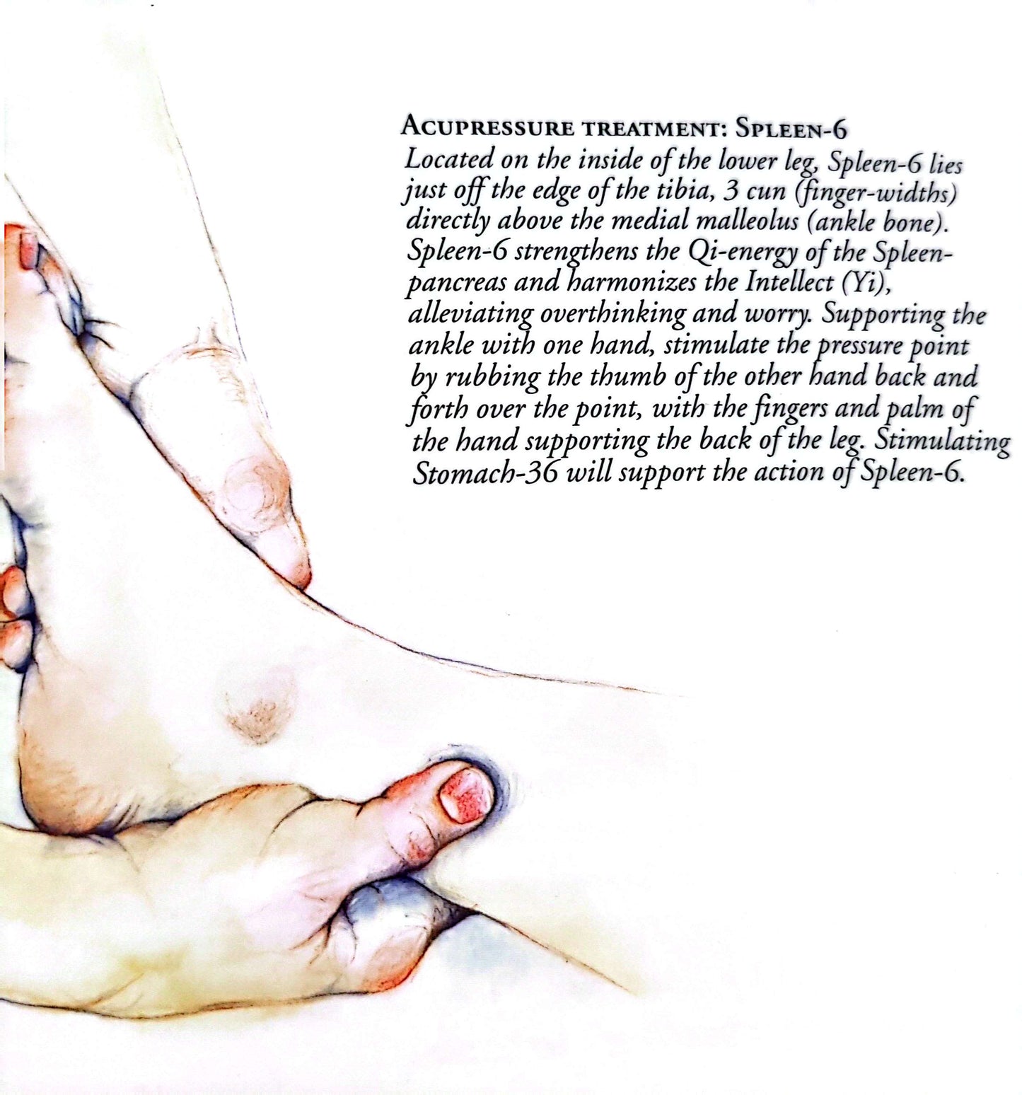 Acupressure treatment - Spleen 6 - SP6