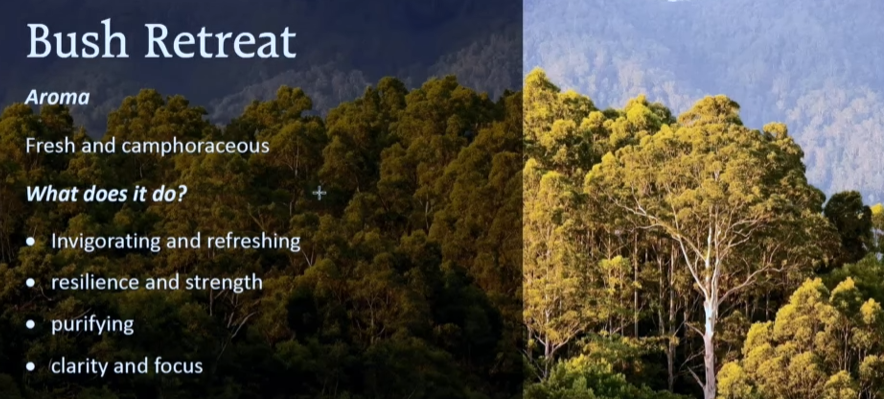 Bush Retreat advertisement with trees and descriptive text on a dark blue background