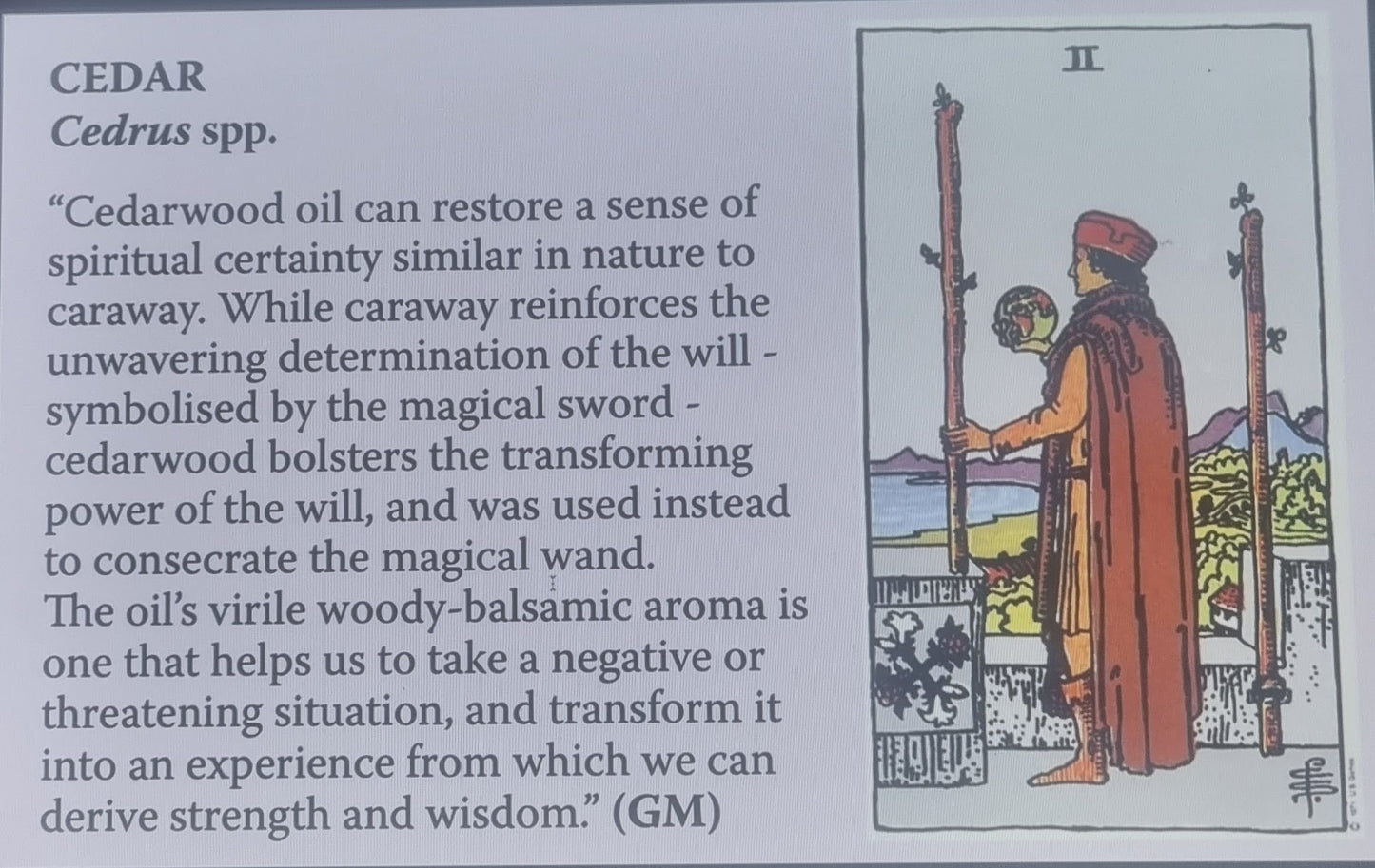 Cedarwood Two of Wands Tarot