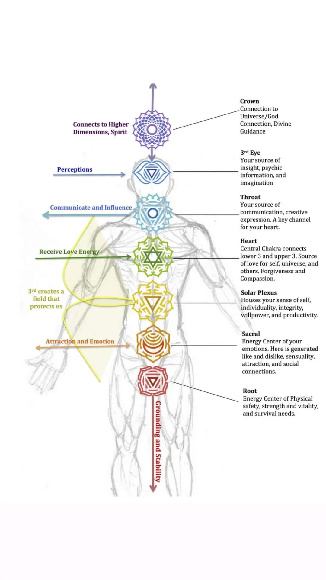 Chakras Diagram and Properties