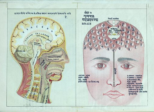 crown Chakra sanskrit