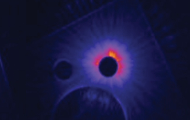 מי ורדים בולגריים | Rose Hydrosol - Bulgarian Rosa damascena