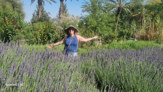 Gaby standing in a lavender field with palm trees in the background. Mizpeh Hayamim