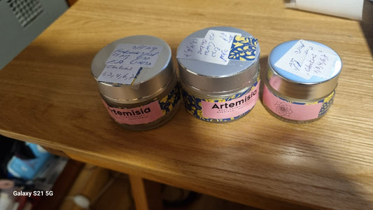 Night Cream - Frankincense, Cypress, Bergamot