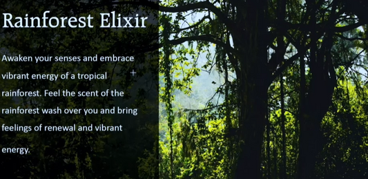 Advertisement for Rainforest Elixir with a tropical rainforest background
