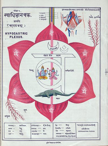 Sacral Chakra - 6 Petals