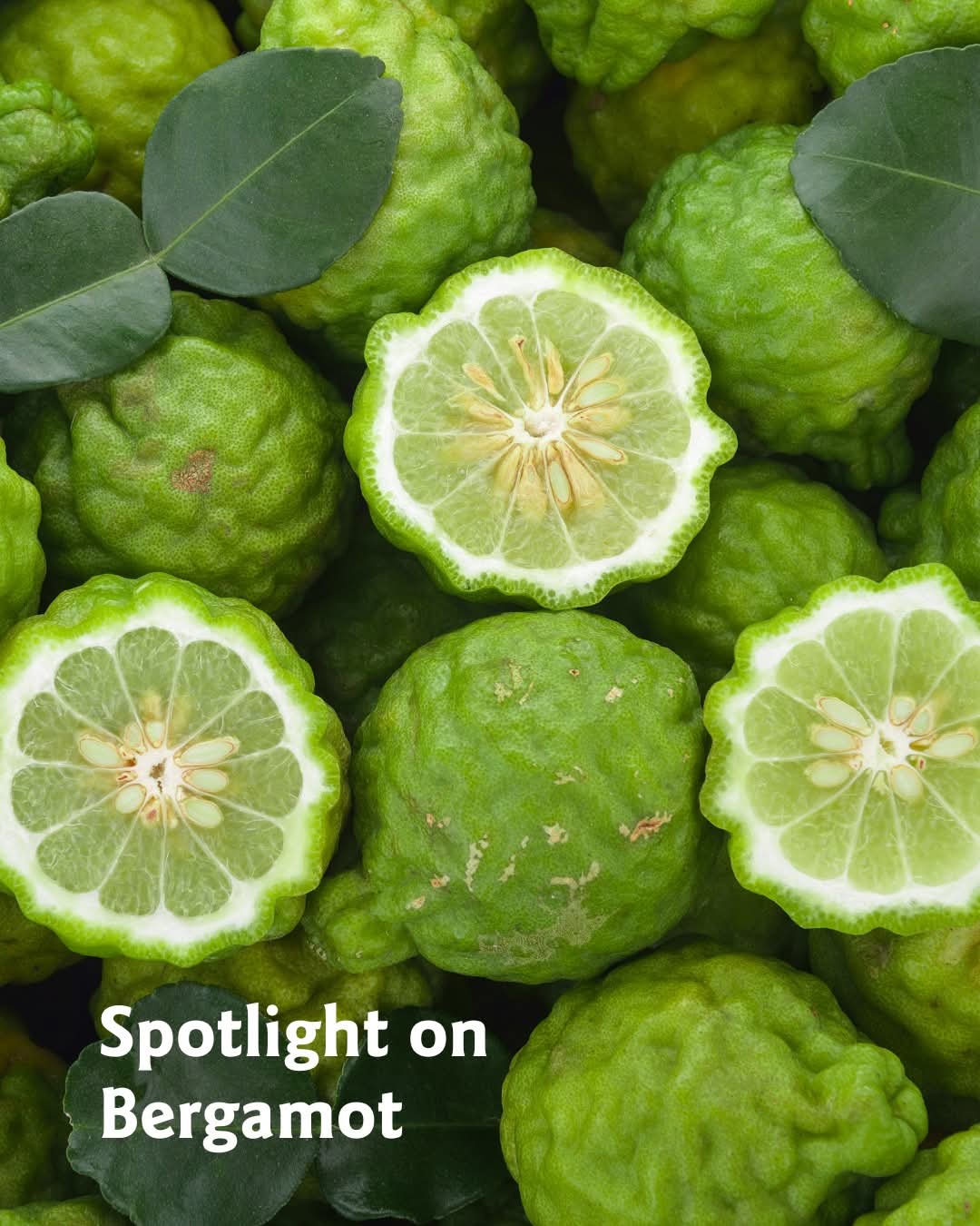 Bergamot fruits with a focus on one cut open to show interior, surrounded by whole bergamots.