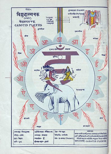 A page from a book featuring a colorful illustration of the Throat Chakra with Hindi text. 16 petals