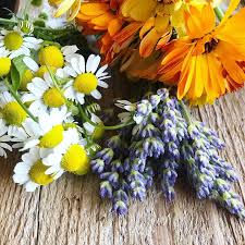 A blend of dried flowers including chamomile, lavender and calendula .