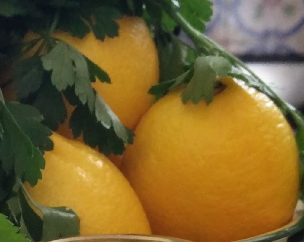Three lemons with green leaves on a branch