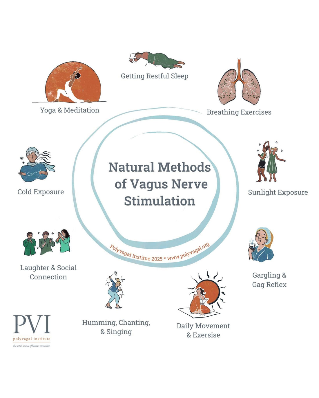 Polyvagal Theory & Essential Oils: Regulating Your Nervous System with Aromatherapy — Green, Red, and Blue zones by Artemisia