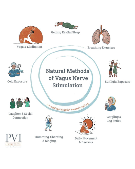 Polyvagal Theory & Essential Oils: Regulating Your Nervous System with Aromatherapy — Green, Red, and Blue zones by Artemisia