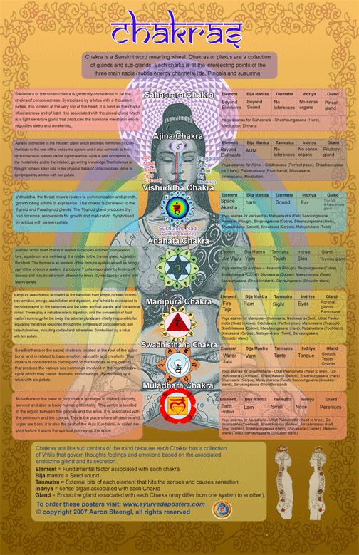 Seven chakras with corresponding essential oils for balance