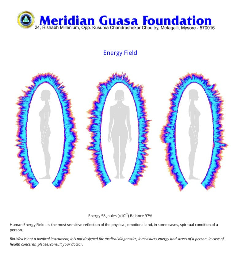 Biophotons and essential oils Bio-Well energy field measurement Artemisia aromatherapy