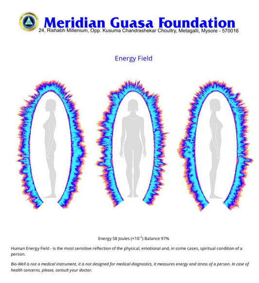Biophotons and essential oils Bio-Well energy field measurement Artemisia aromatherapy