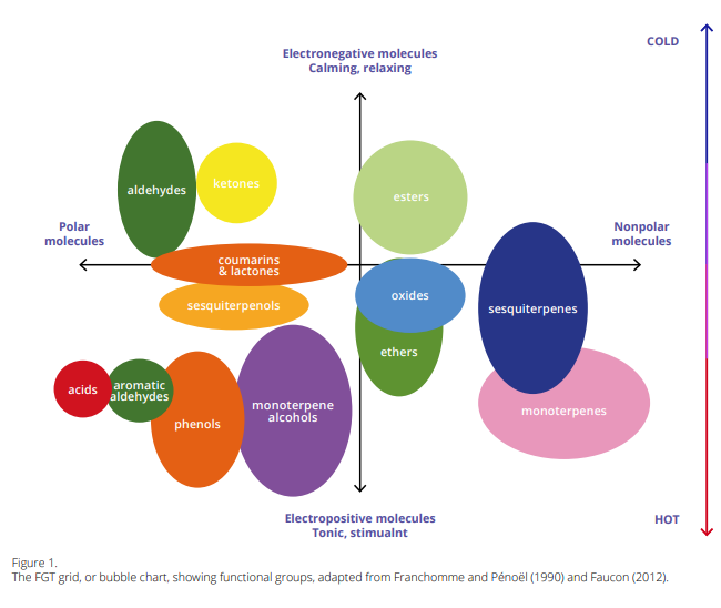 Essential Oil Monographs | Complete Aromatherapy Reference