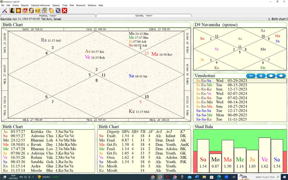 My Varshaphal 2026: A Founder's Vedic Year Reading | קריאת שנה וודית