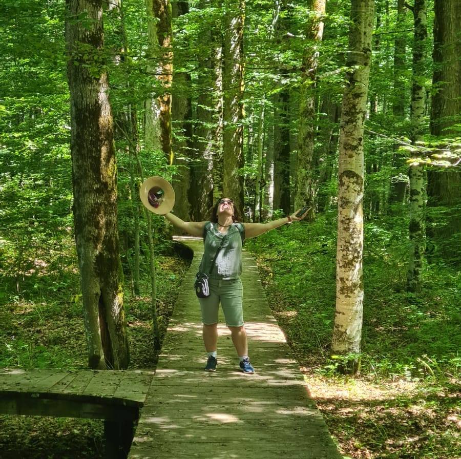 Forest Bathing Around the World קולקציית יערות קדושים סביב העולם