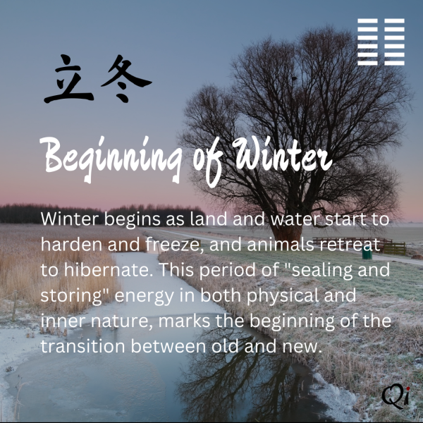 בלסם ארומתרפי לחזה - נוחות נשימתית וארומתרפיה מרגיעה | Eucalyptus Chest Balm - Breathing Comfort & Soothing Aromatherapy