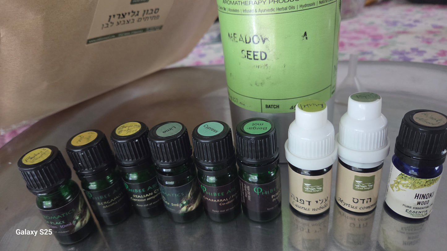 Forest Temple Soap — Cypress, Myrtle, Hinoki, Bay Laurel & Bergamot Mint | סבון מקדש היער