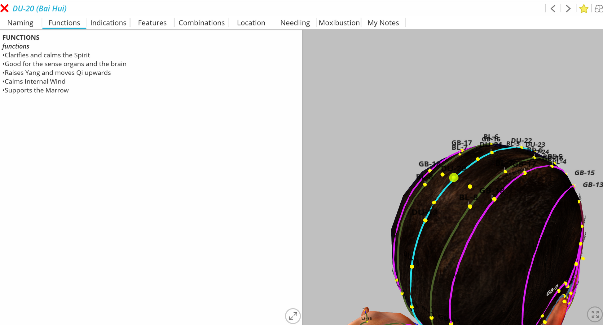 Acupressure Point DU-20 Bai Hui - Clarifies and calms the Spirit. Calms Internal Wind. Crown Chakra Point