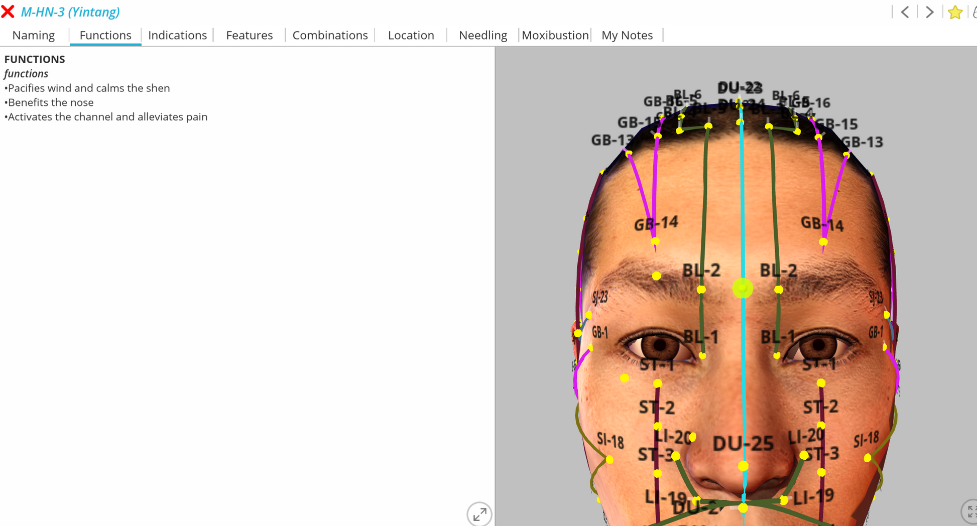 Facial map with acupuncture points Yintang - Pacifies wind and calms the shen. Alleviates pain