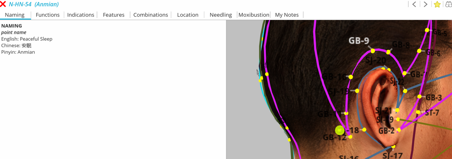 Acupressure point Anmian - N-HN-54 (Anmian) Ear acupuncture chart th labeled points on a computer screen.