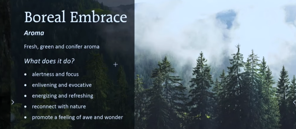 Forest scene with mist and text about 'Boreal Embrace' aroma