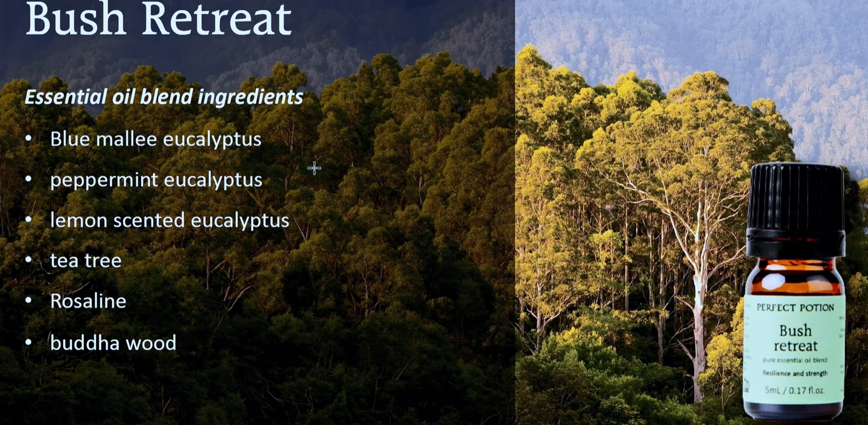 Essential oil blend bottle labeled 'Bush Retreat' with a scenic background of trees.
