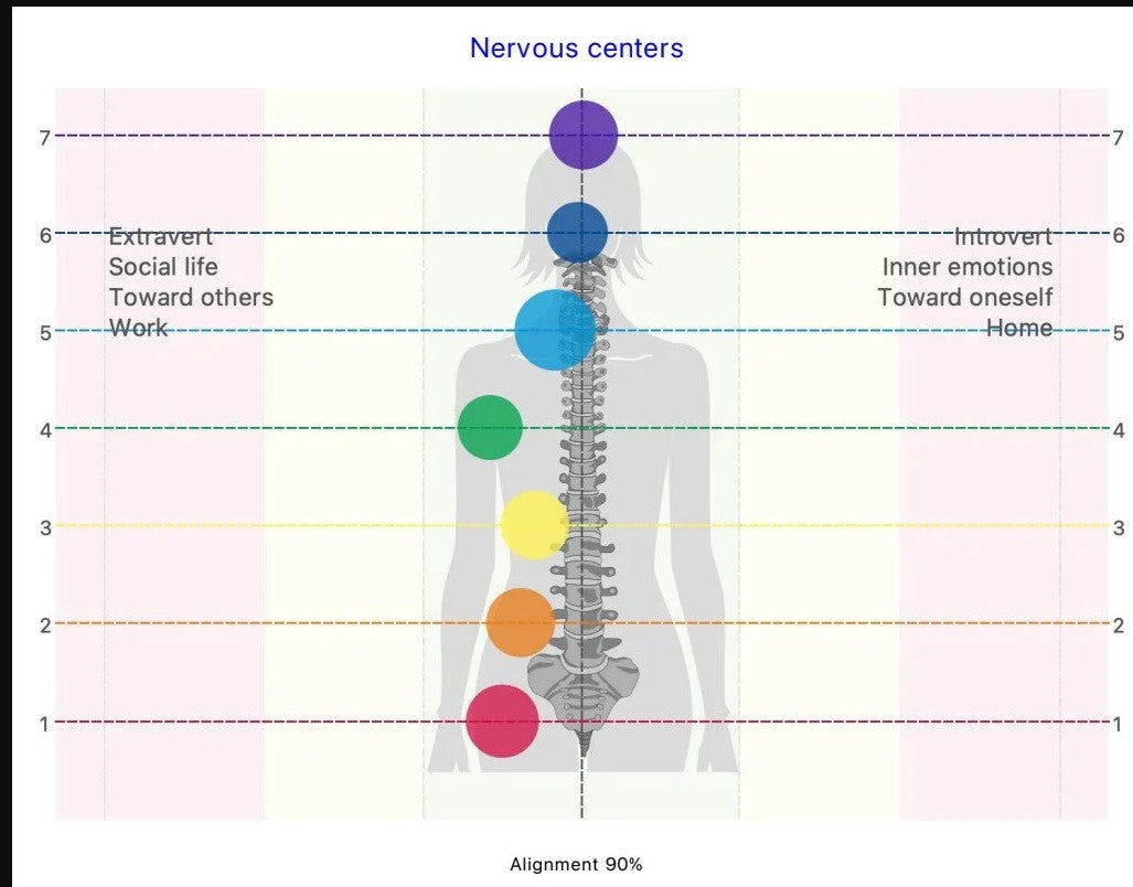 Diagram of a human figure with colored circles representing nervous centers and labeled axes. Bio- Well Gaby 90%