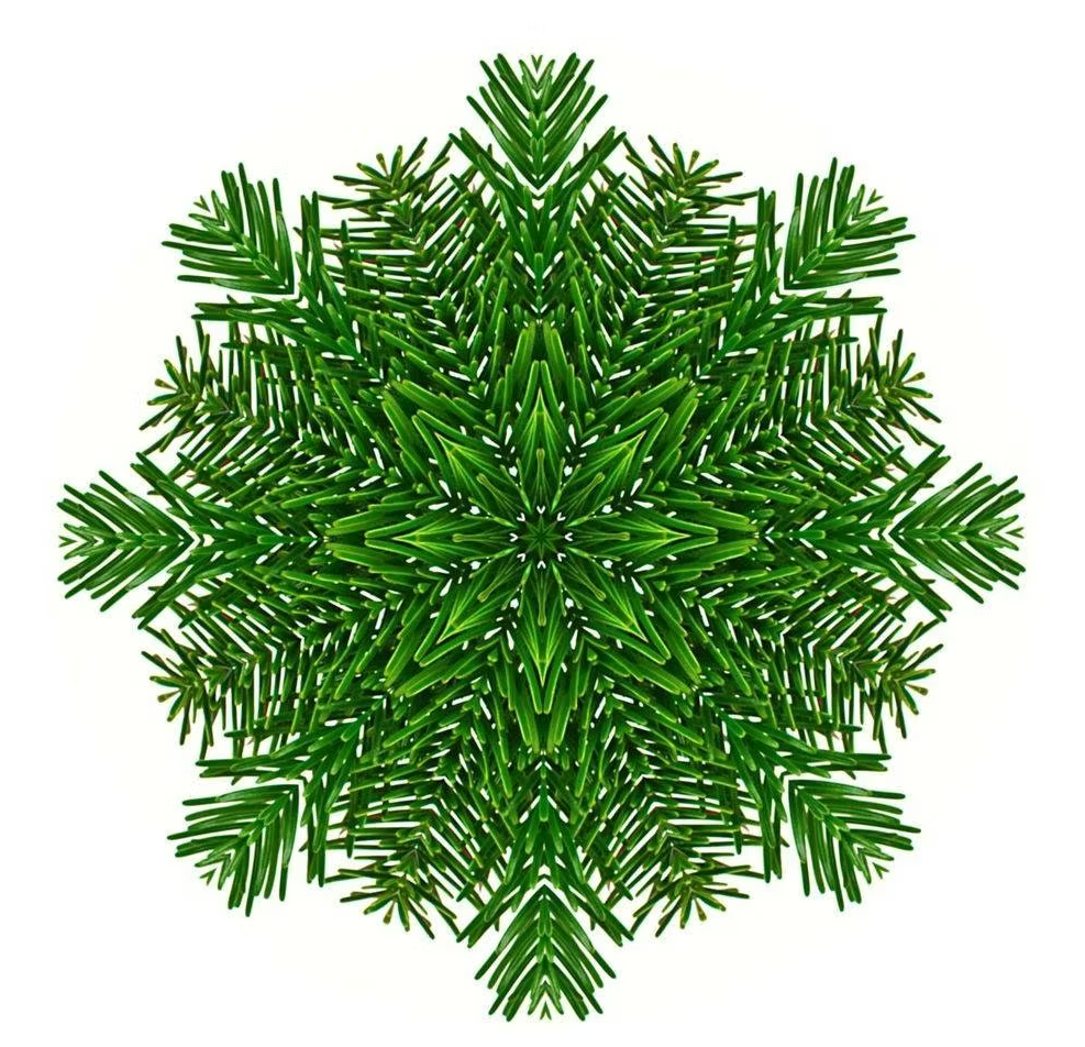 Essential Oracle Cedarwood Card