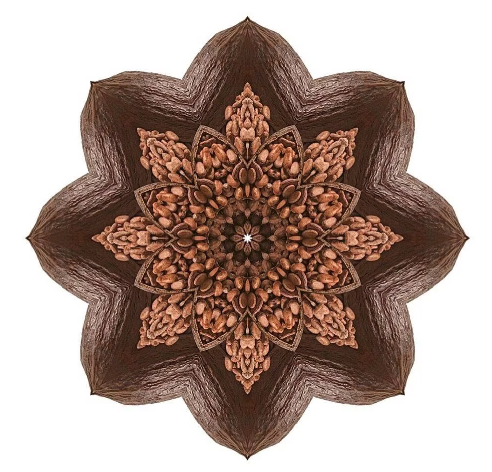 Essential Oracle Cocoa Card