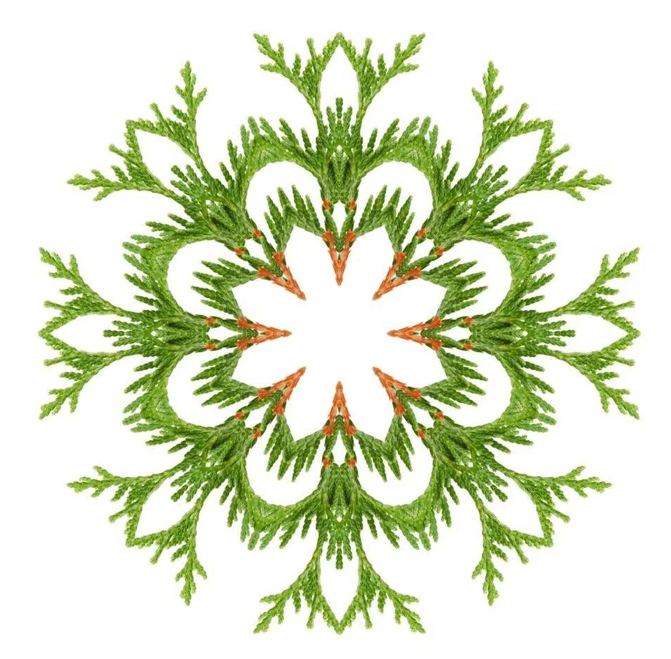 Essential Oracle Cypress Card