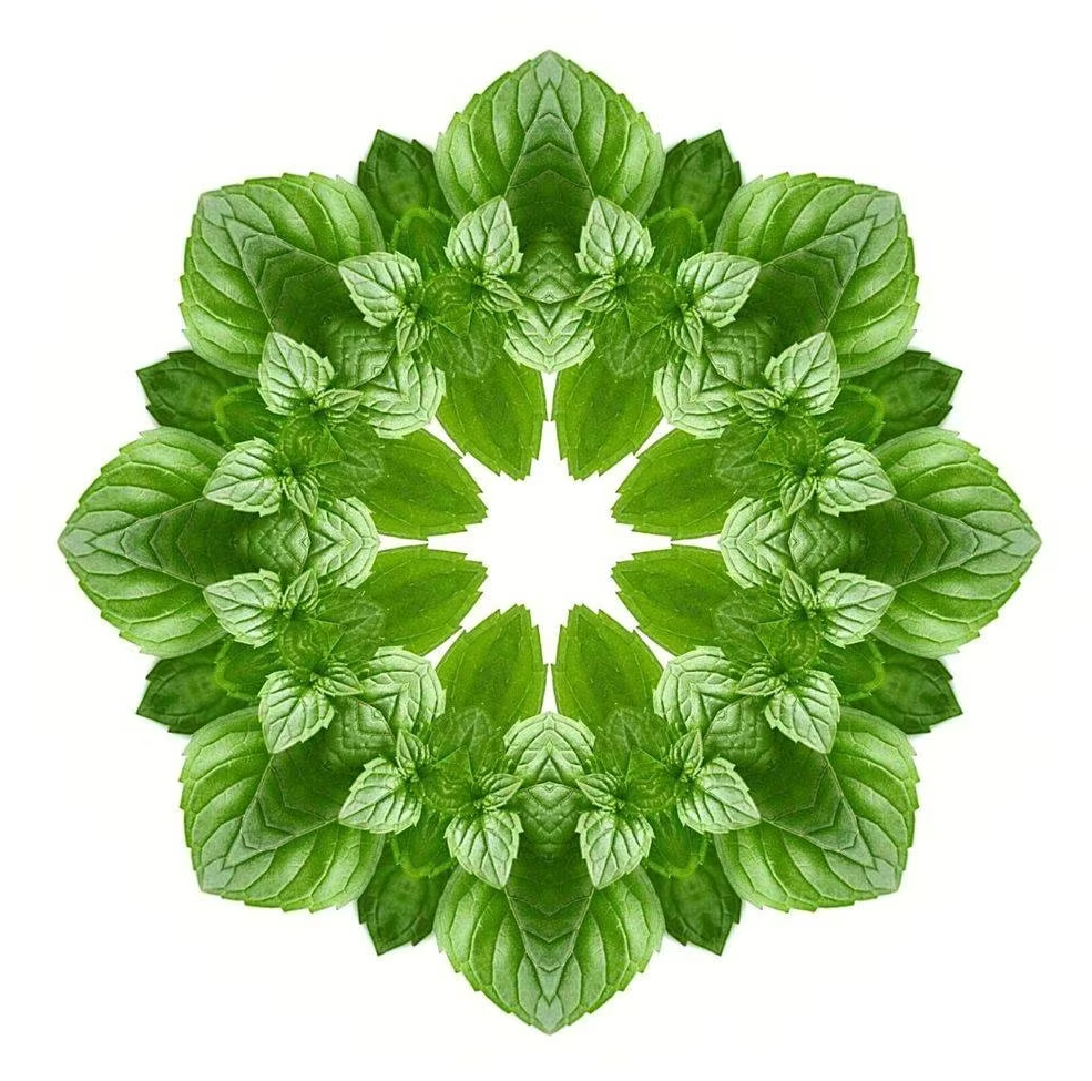 Essential Oracle Peppermint Card