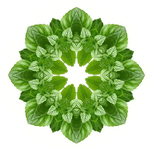 Essential Oracle Peppermint Card