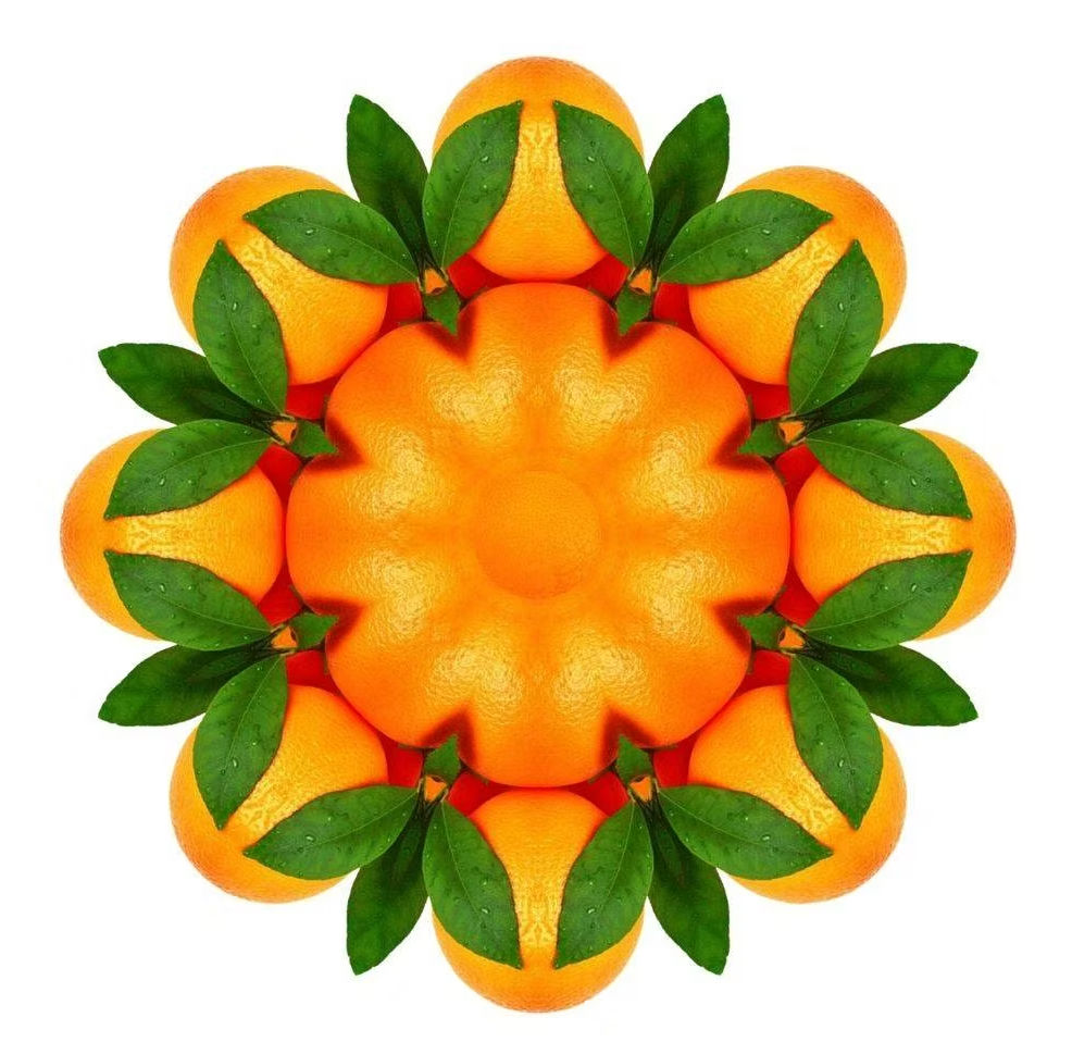 Essential Oracle Sweet Orange Card