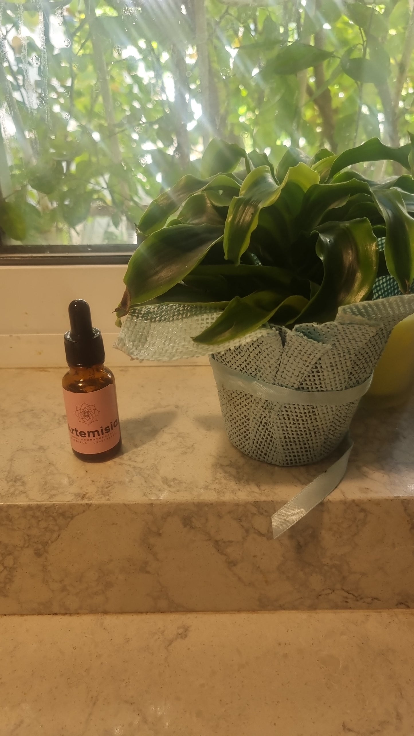 Hair + Scalp Blend - פורמולה לחיזוק שורשי השיער