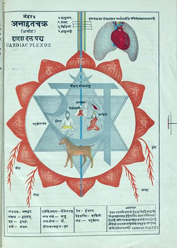 A book page displaying a colorful illustration of a heart chakra with various symbols and an animal's head in the center, indicating a serum product possibly for skin care.