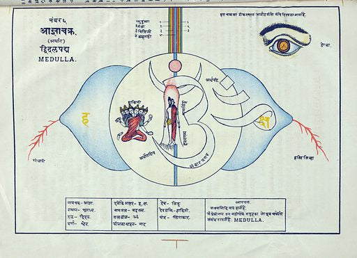 Third Eye Chakra Serum - Blend to develop intuition and psychic awareness