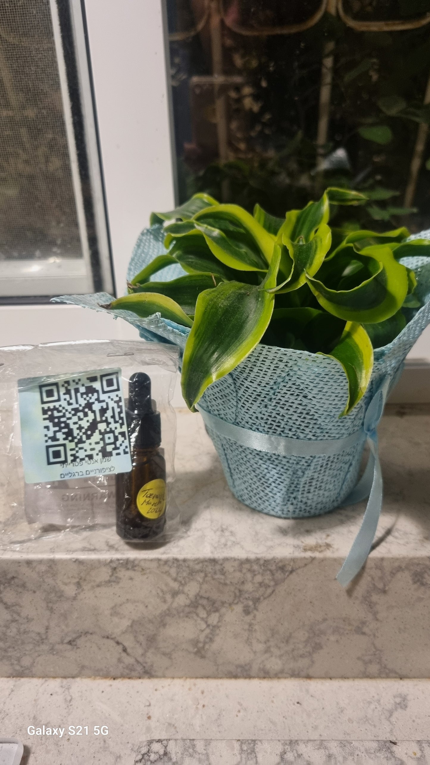 Toenail Antifungal Oil Blend -  שמן אנטי פטרייתי לציפורני הרגליים